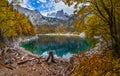 Tree stumps after deforestation near Hinterer Gosausee lake, Upper Austria. Autumn Alps mountain lake. Dachstein summit and