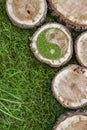 Tree stumps on the grass with ying yang symbol Royalty Free Stock Photo