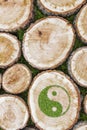 Tree stumps on the grass with ying yang symbol Royalty Free Stock Photo