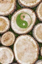 Tree stumps on the grass with ying yang symbol Royalty Free Stock Photo