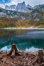 Tree stumps near Hinterer Gosausee lake, Upper Austria. Autumn Alps mountain lake with clear transparent water and reflections.