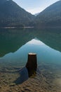 Tree stumps partially submerged in the clear water of Baker Lake in North Cascades Royalty Free Stock Photo