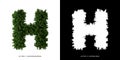 Letter H uppercase of leaves. Alphabet plants. Royalty Free Stock Photo