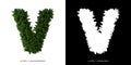 Letter V uppercase of leaves. Alphabet plants.