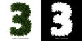 Number 3 leaves. Alphabet plants. Royalty Free Stock Photo