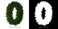 Number 0 leaves. Alphabet plants. Royalty Free Stock Photo