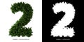 Number 2 leaves. Alphabet plants. Royalty Free Stock Photo