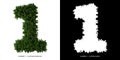 Number 1 leaves. Alphabet plants. Royalty Free Stock Photo