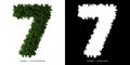 Number 7 leaves. Alphabet plants. Royalty Free Stock Photo