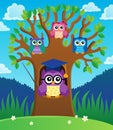 Tree with stylized school owl theme 2