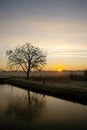 Tree sunrise reflection