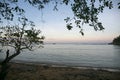 Tree sunset on a remote beach in Asia