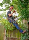 Tree Surgeon ready to work Royalty Free Stock Photo