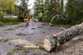 Tree surgeon clears road after storm