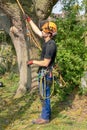 Tree Surgeon with safety harness and ropes Royalty Free Stock Photo