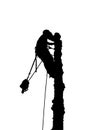 Tree Surgeon Silhouette