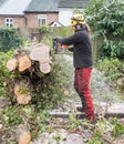 Tree Surgeon at work Royalty Free Stock Photo