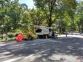 Tree Surgeons Working Among People Enjoying Central Park, New York City, USA