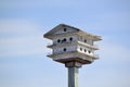 Tree Swallow (Tachycineta bicolor) entering birdhouse along hiking trail at Tiny Marsh