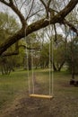 Tree swings. Tree swing garden swings. Royalty Free Stock Photo