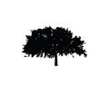 Tree symbol green plant icon wood image nature