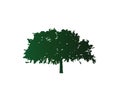 Tree symbol green plant icon wood image nature