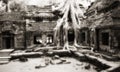 Tree taken possession of Ta Prohm temple walls Royalty Free Stock Photo