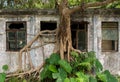 Tree taking over abandoned building in Hong Kong.