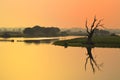 Tree at Taung Ttha Man Lake Royalty Free Stock Photo