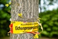 Tree with text vorsicht allergiegefahr durch eichenprozessionsspinner Raupen und Nester nicht berÃÂ¼hren, in englisch beware of