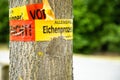 Tree with text vorsicht allergiegefahr durch eichenprozessionsspinner Raupen und Nester nicht berÃÂ¼hren, in englisch beware of