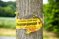 Tree with text vorsicht allergiegefahr durch eichenprozessionsspinner Raupen und Nester nicht berÃÂ¼hren, in englisch beware of