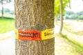 Tree with text vorsicht allergiegefahr durch eichenprozessionsspinner Raupen und Nester nicht berÃÂ¼hren, in englisch beware of