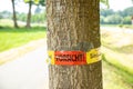 Tree with text vorsicht allergiegefahr durch eichenprozessionsspinner Raupen und Nester nicht berÃÂ¼hren, in englisch beware of