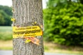 Tree with text vorsicht allergiegefahr durch eichenprozessionsspinner Raupen und Nester nicht berÃÂ¼hren, in englisch beware of