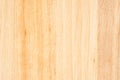 Tree Texture. Timber Light Natural Pattern. Wood Grain Background