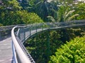 Tree top walk Southern Ridges trail in Singapore Royalty Free Stock Photo