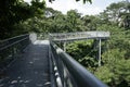 Tree top forest walk ,Southern Ridges trail in Singapore Royalty Free Stock Photo