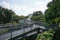 Tree top forest walk ,Southern Ridges trail in Singapore Royalty Free Stock Photo