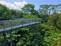 Tree top walk Southern Ridges trail in Singapore Royalty Free Stock Photo