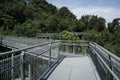 Tree top forest walk ,Southern Ridges trail in Singapore Royalty Free Stock Photo