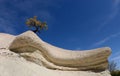 Tree on the top of geological rock formations in Rose Valley, Turkey,Cappadocia Royalty Free Stock Photo