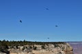 Vultures circle over the top of the nearby mesa Royalty Free Stock Photo
