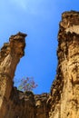 A tree on top of a rock formation Royalty Free Stock Photo