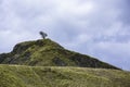 Tree on top of the rocky hill Royalty Free Stock Photo