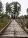 Tree Top Trail Watchtower, Stezka Korunami Stromu, Janske lazne town Royalty Free Stock Photo