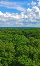 Scenic tree top view of the forest from the Holden Arboretum in Kirtland, Ohio