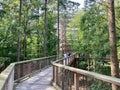 Tree top walk, Heringsdorf, Usedom