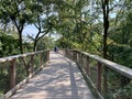 Tree top walk, Heringsdorf, Usedom