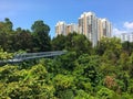 Tree top walk Southern Ridges trail in Singapore Royalty Free Stock Photo